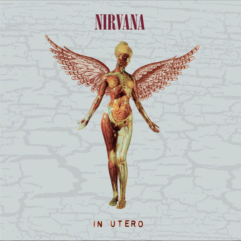 In Utero (30th Anniversary Deluxe Edition)