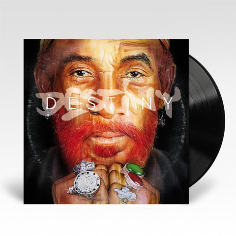 DESTINY (Vinyl)