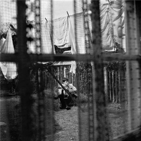Chaos And Creation In The Backyard (Import)