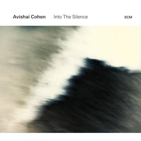 Into The Silence