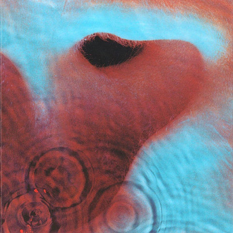 Meddle (2016 Reissue)