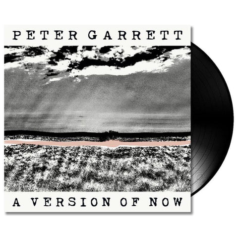 A Version Of Now (Vinyl)